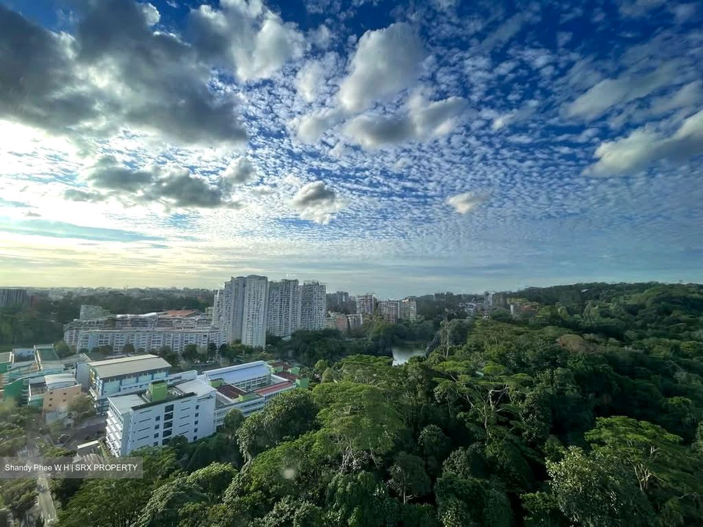 Regent Heights (D23), Condominium #589847461